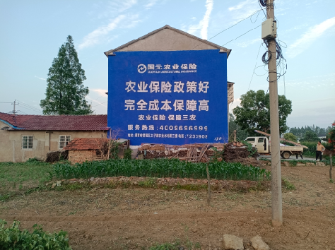 金沙墙体广告为何受追捧？